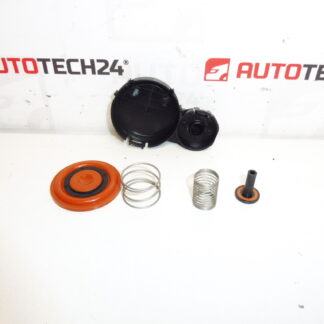 Kit diafragma tapa valvulas 1.6 HDI 0248S0