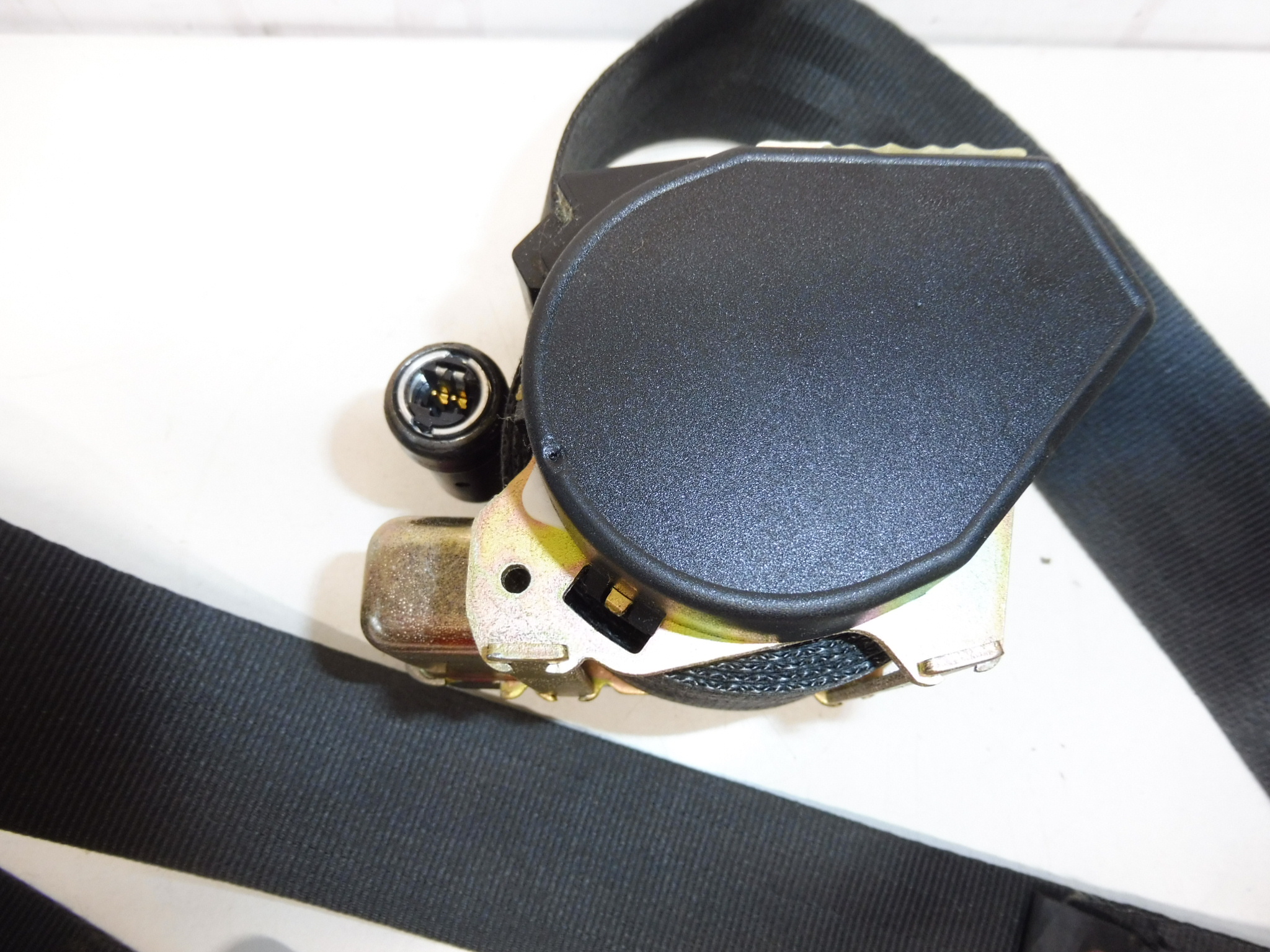 Correa conductor delantera Peugeot 1007 96446708XX 8974V7