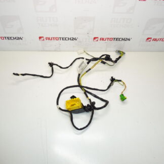 Arnes Asiento Delantero Derecho Peugeot 207 455375603 6545GE