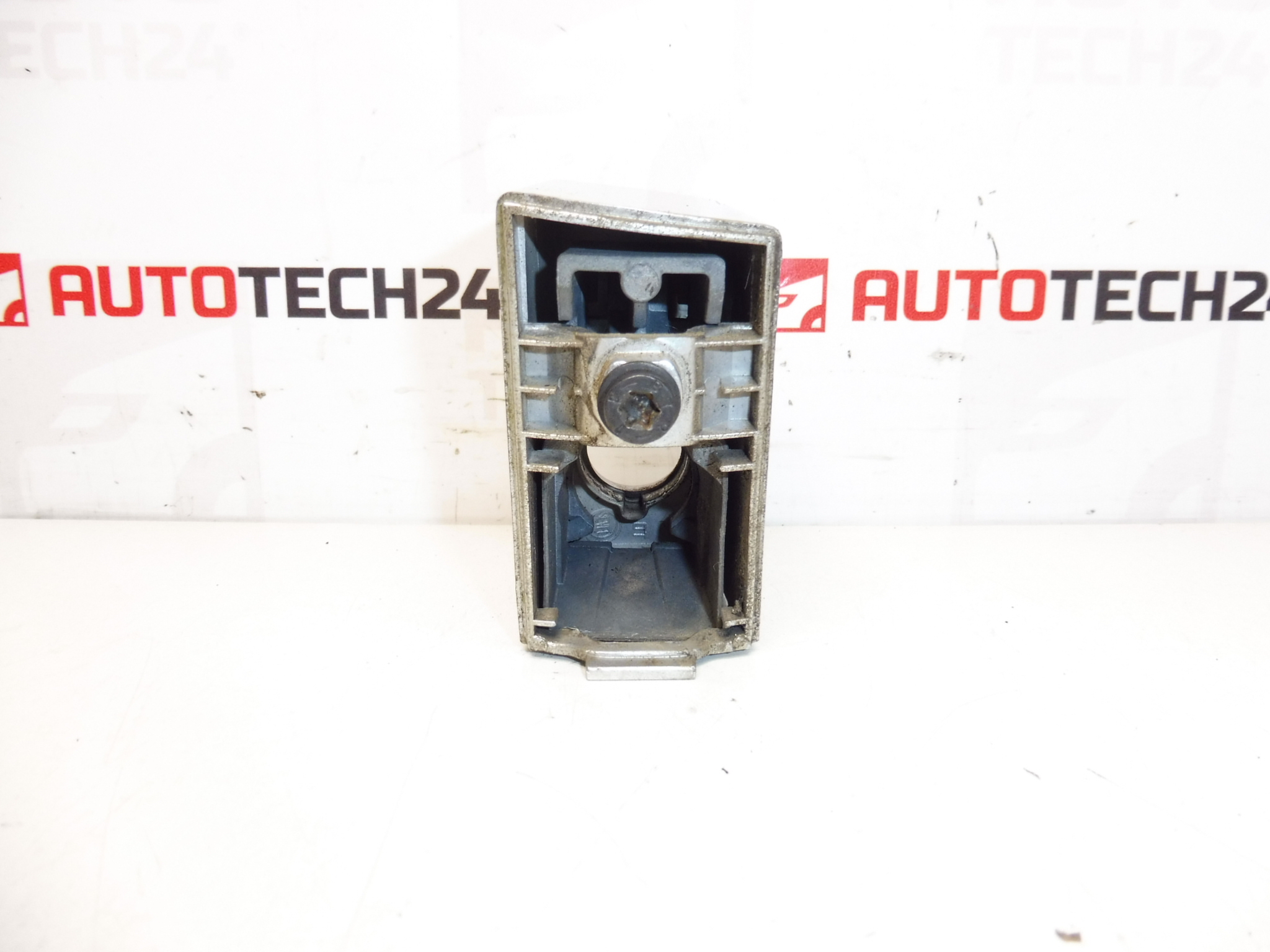 Tapa cerradura puerta delantera derecha Citroën Peugeot cromada 9119L8
