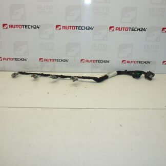 Arnés inyector DELPHI Citroën Peugeot 2.0 HDI 9662908580 6569Y5
