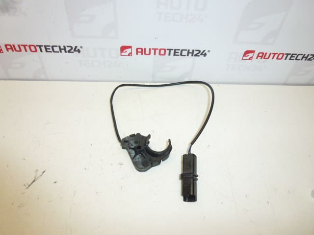 Sensor de manija de puerta Peugeot 307 CC 9651269480 910946