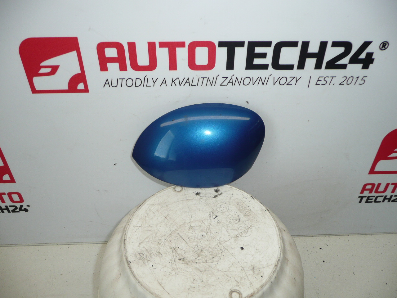Cubre retrovisor izquierdo Peugeot 206 KMF 962843103F 815242