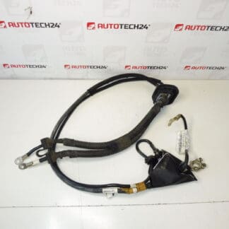 Cable de conexión + pole en Citroën Peugeot 1497069080 1497070080 Motor