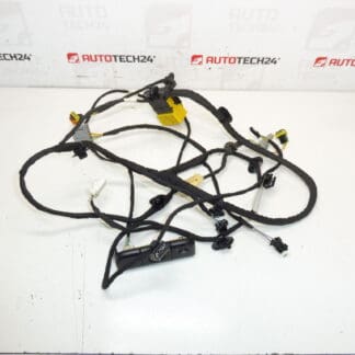 Citroen C4 Picasso Valeo 5243596 Asiento del conductor