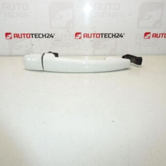 Citroën Peugeot EWBP 9101GH MANZA DE PUERTA