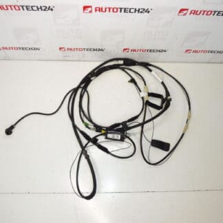 Cable de antena Citroën C8 Peugeot 807 1489134080 1494844080