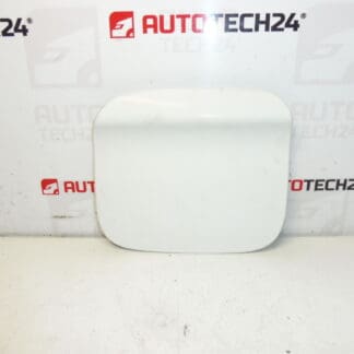 Peugeot 301 Citroen C-Elée EWP 9677571480