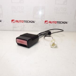 Titular de pasaporte de pasajeros Peugeot 407 8973PV