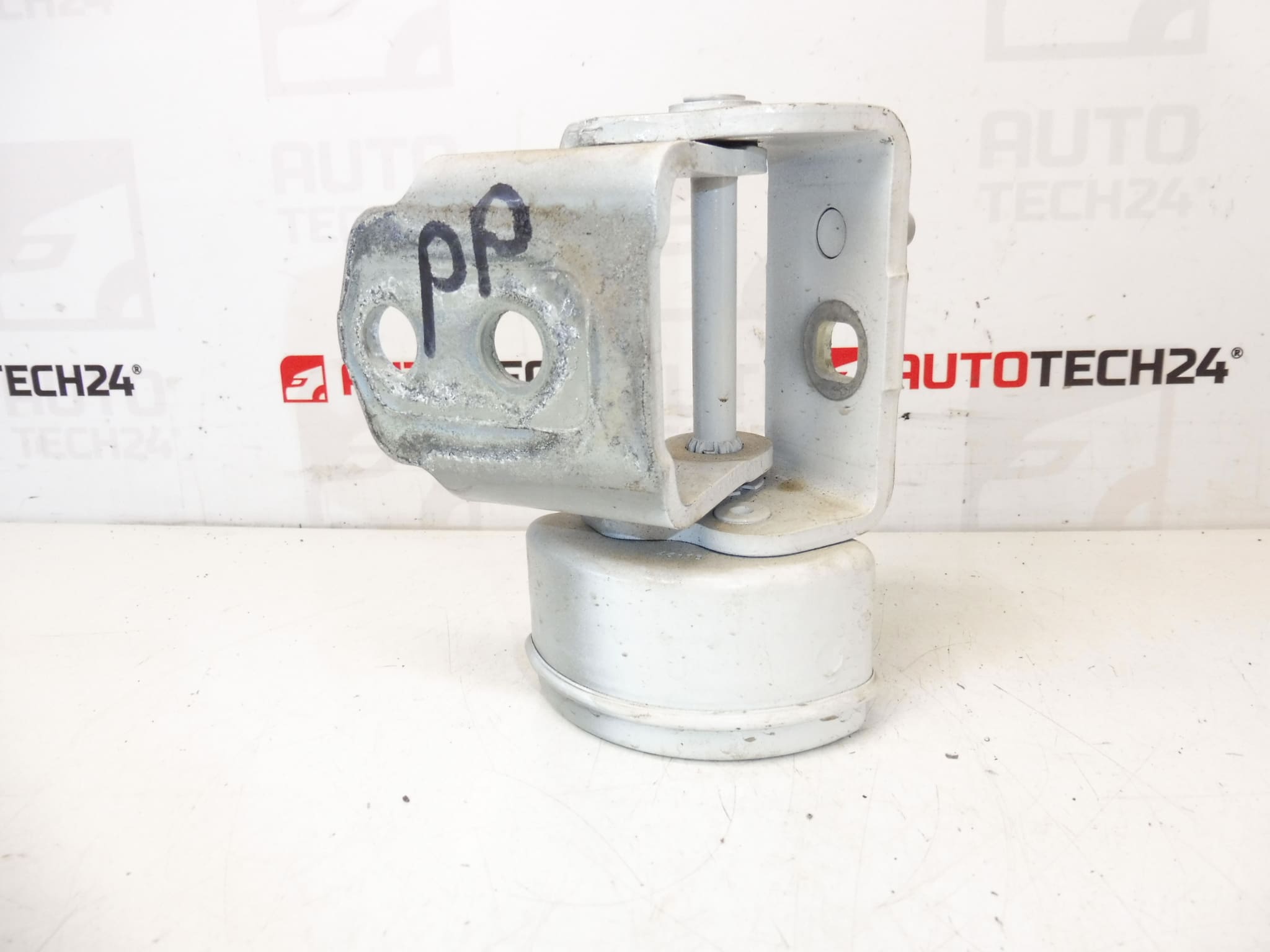 Tope de Bisagra Para Puertas Delanteras Derechas EWP PEUGEOT 207 26308980 9035T4 - Imagen 2