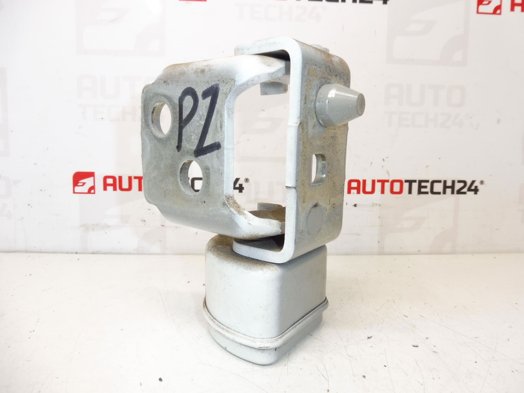Tope Bisagra Puerta Trasera Derecha EWP PEUGEOT 207 13089480 9037C0 - Imagen 2