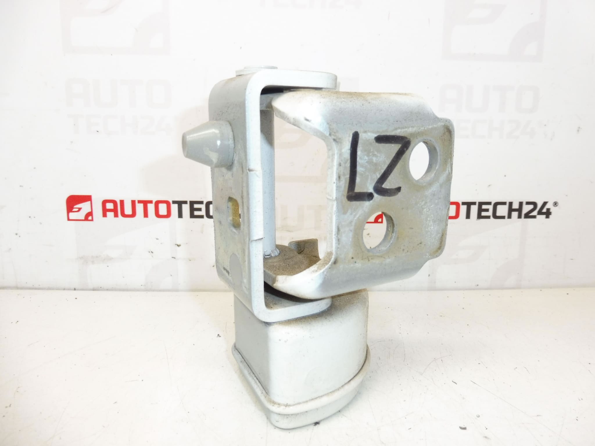 Tope de Bisagra para Puerta Trasera Izquierda EWP PEUGEOT 207 15189580 9037C1 - Imagen 2