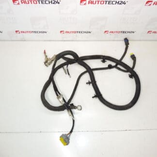 Cable positivo Aku Citroën Peugeot 1.8 16V 9662165780 5642FY