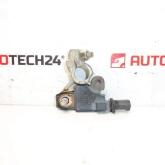 Citroën Peugeot 9666919780 Unidad de polo negativo