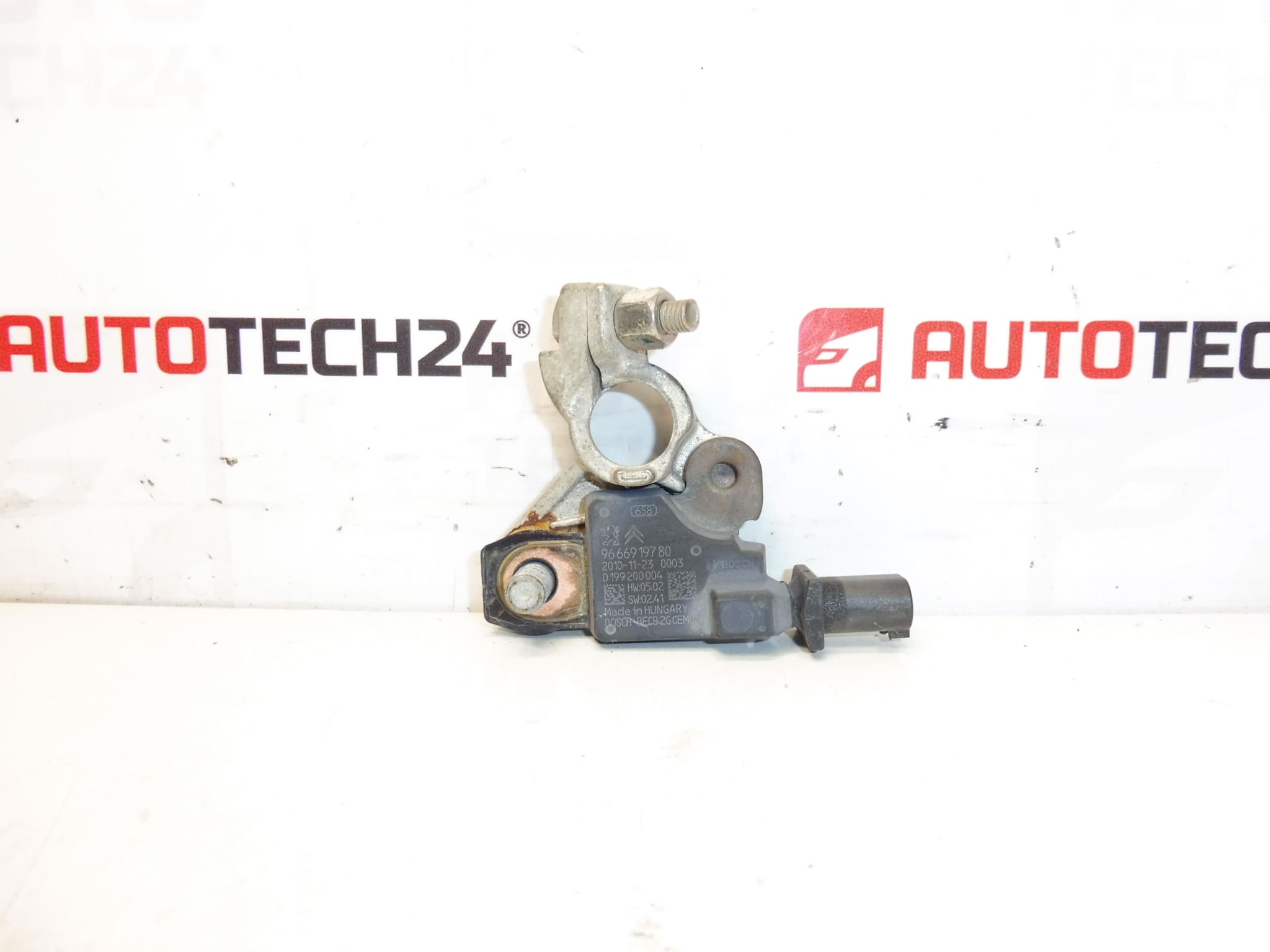 Citroën Peugeot 9666919780 Unidad de polo negativo