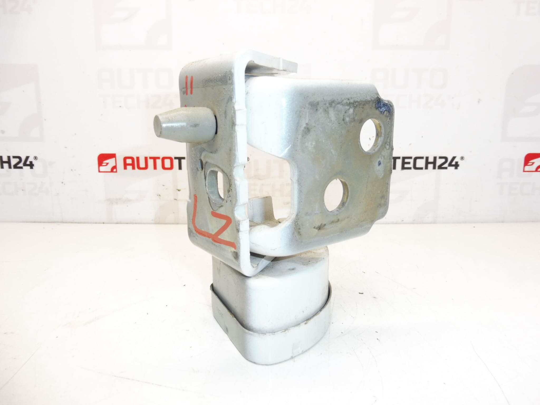 Tope De Bisagra Para Puertas Traseras Izquierdas EWPB Citroën C3 Picasso 9035CL - Imagen 2