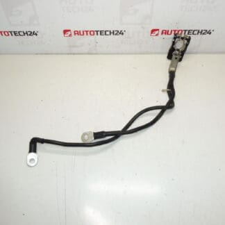 Un paquete positivo para la batería Citroën Peugeot 1612229980