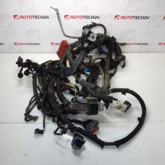 Citroen Peugeot 1.6 HDI 9664716180 6569PZ