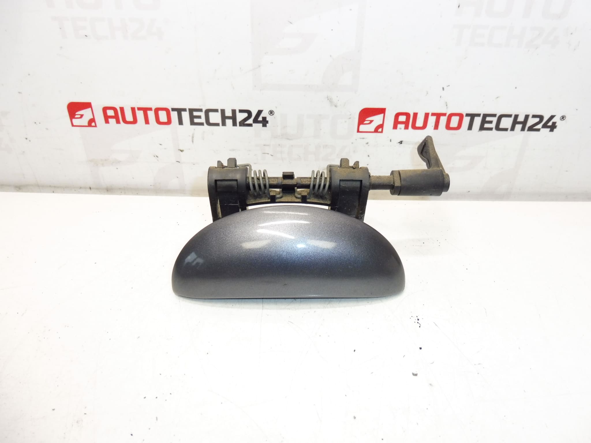 Maneta puerta trasera izquierda Peugeot 206 206+ KGS 9101N8