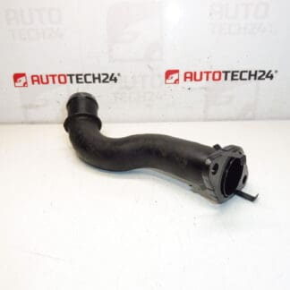 Toma de aire Citroën Peugeot 2.0 HDI 0382NC