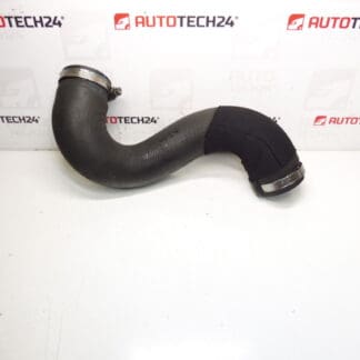 Toma de aire Citroën Peugeot 2.0 HDI 0382NE