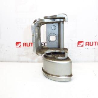 Tope bisagra puerta trasera izquierda ETSC Peugeot 207 15189580 9037C1