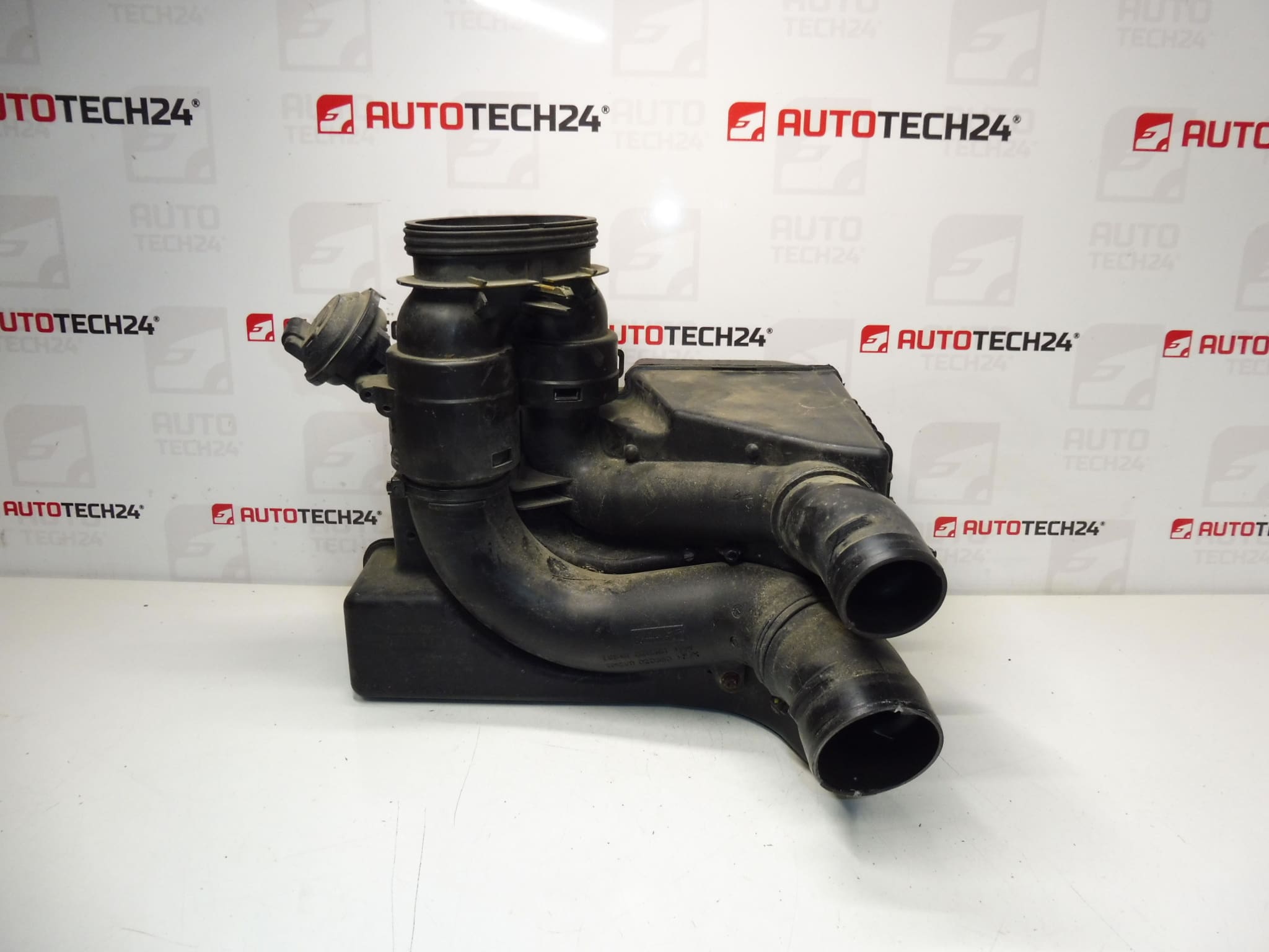 Caja filtro Citroën Peugeot 2.0 i 9643586380 9646189680