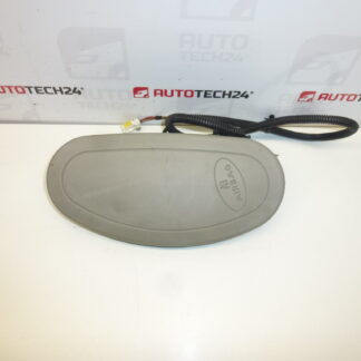 Airbag Lateral Citroën C5 I y II 96391352ZW 8216GN