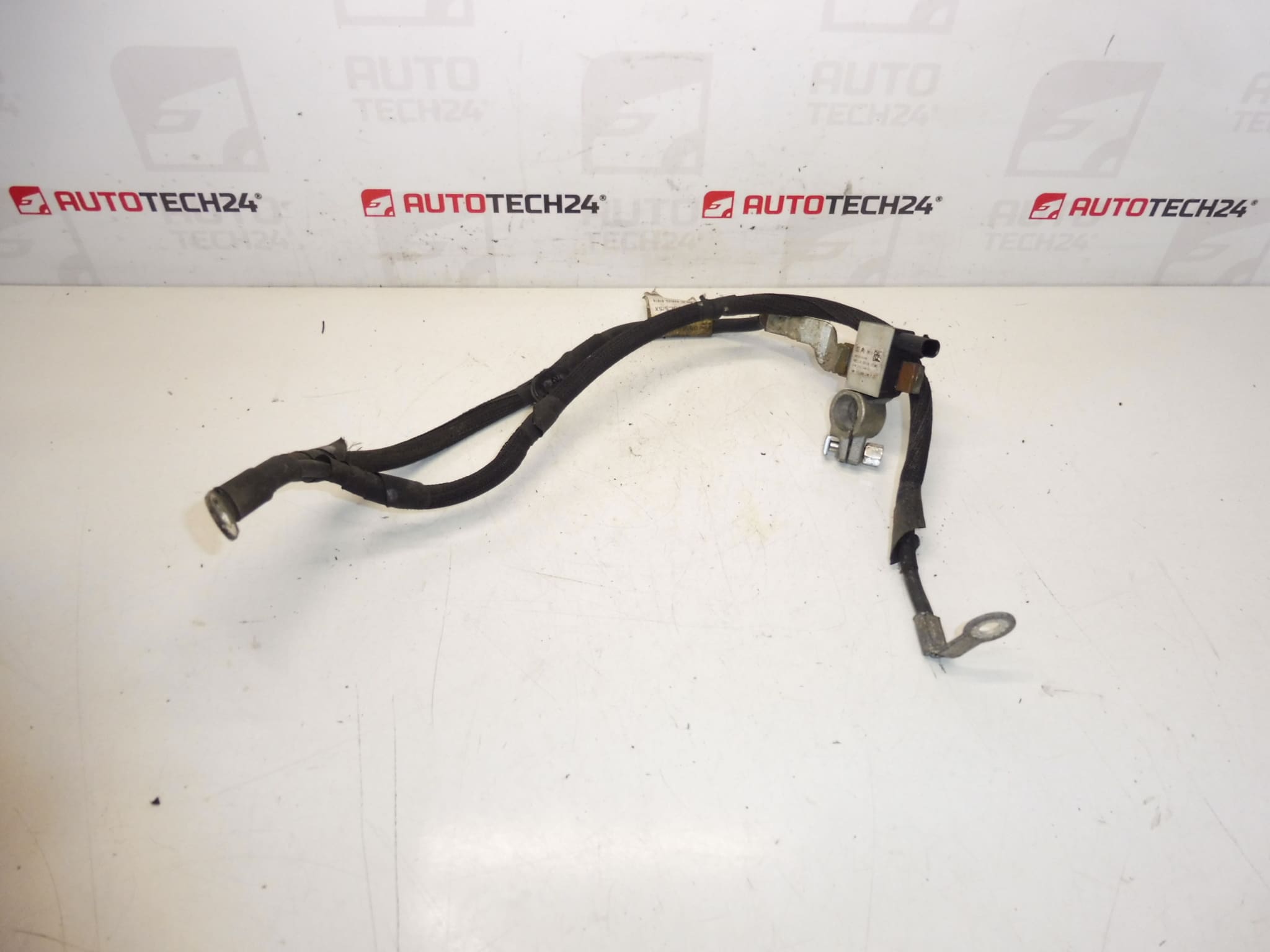 Arnés negativo del motor Peugeot 9803673280 9678116380 5638WH