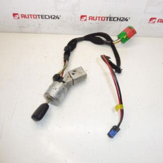 Caja interruptor 1 llave Peugeot 307 4162AS
