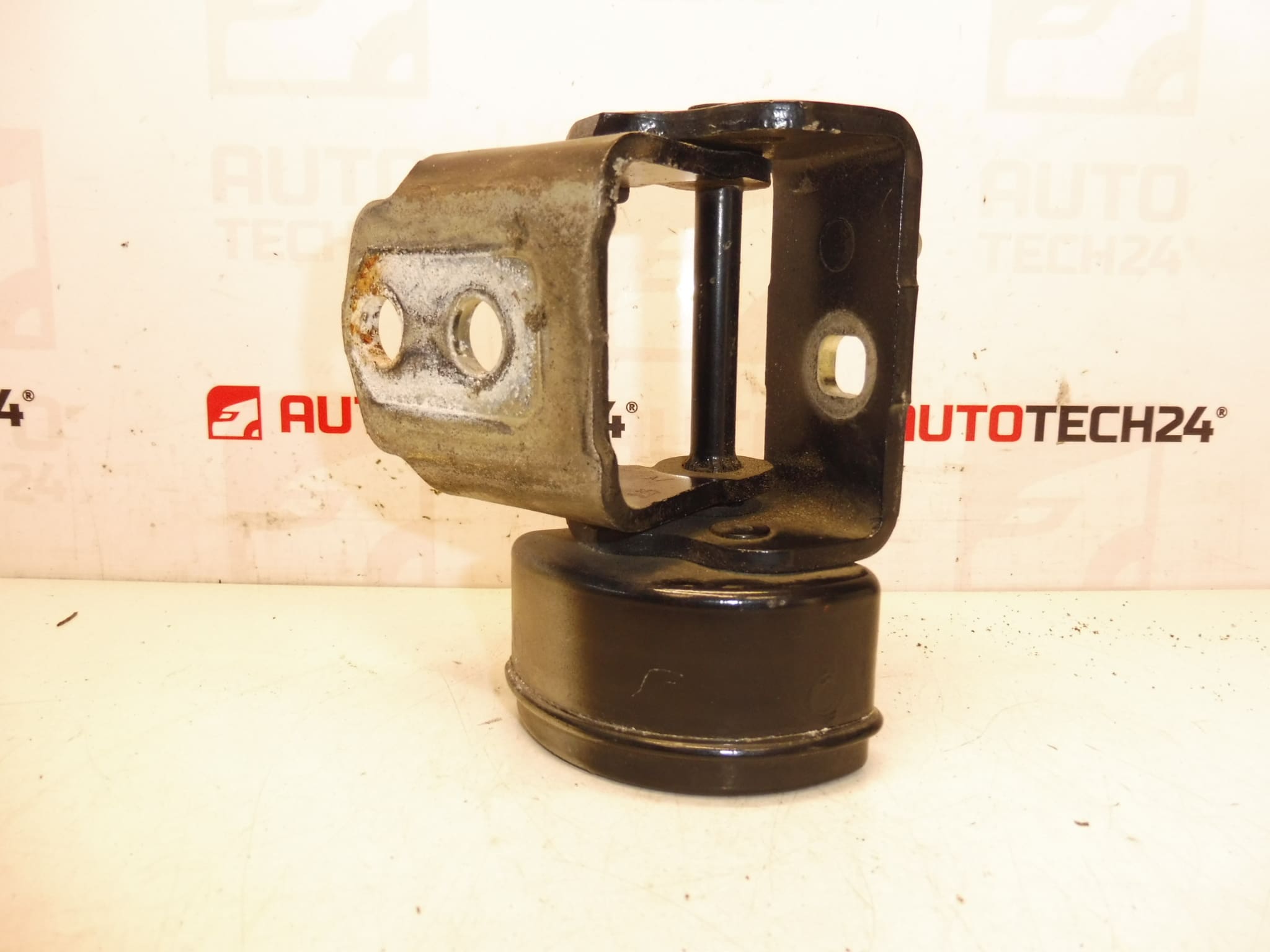 Tope bisagra puerta delantera derecha EXLD Peugeot 207 9035T4 - Imagen 2