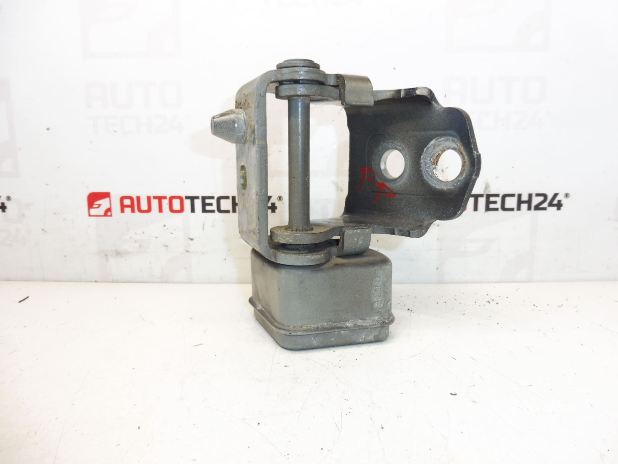Tope bisagra puerta delantera derecha EXLD Peugeot 207 9035T4
