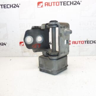 Tope bisagra puerta delantera izquierda EXLD Peugeot 207 9035T5