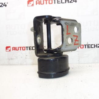 Tope bisagra puerta trasera izquierda EXLD Peugeot 207 9037C1