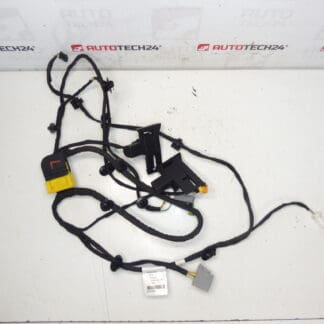 Arnés del asiento del conductor Citroen C4 Picasso Valeo 6505T6 5243566