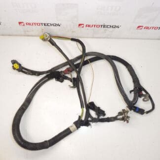 Arnés positivo Citroën Peugeot 2.0HDI 9658054180 5642LP