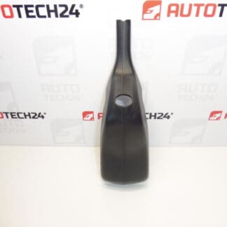 Cubierta Espejo Retrovisor Citroen C4 B7 9670594477 9670593877 8154JJ
